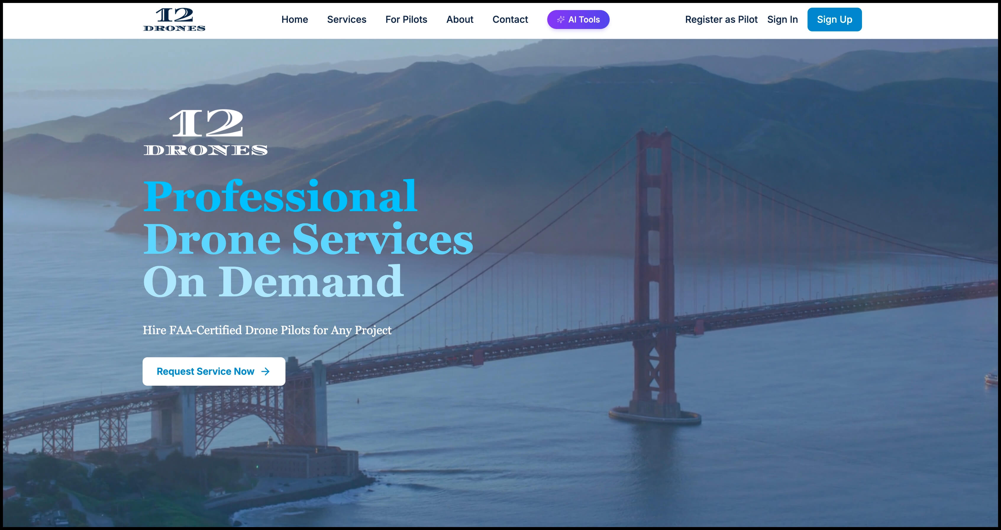 SkyView - Drone Marketplace